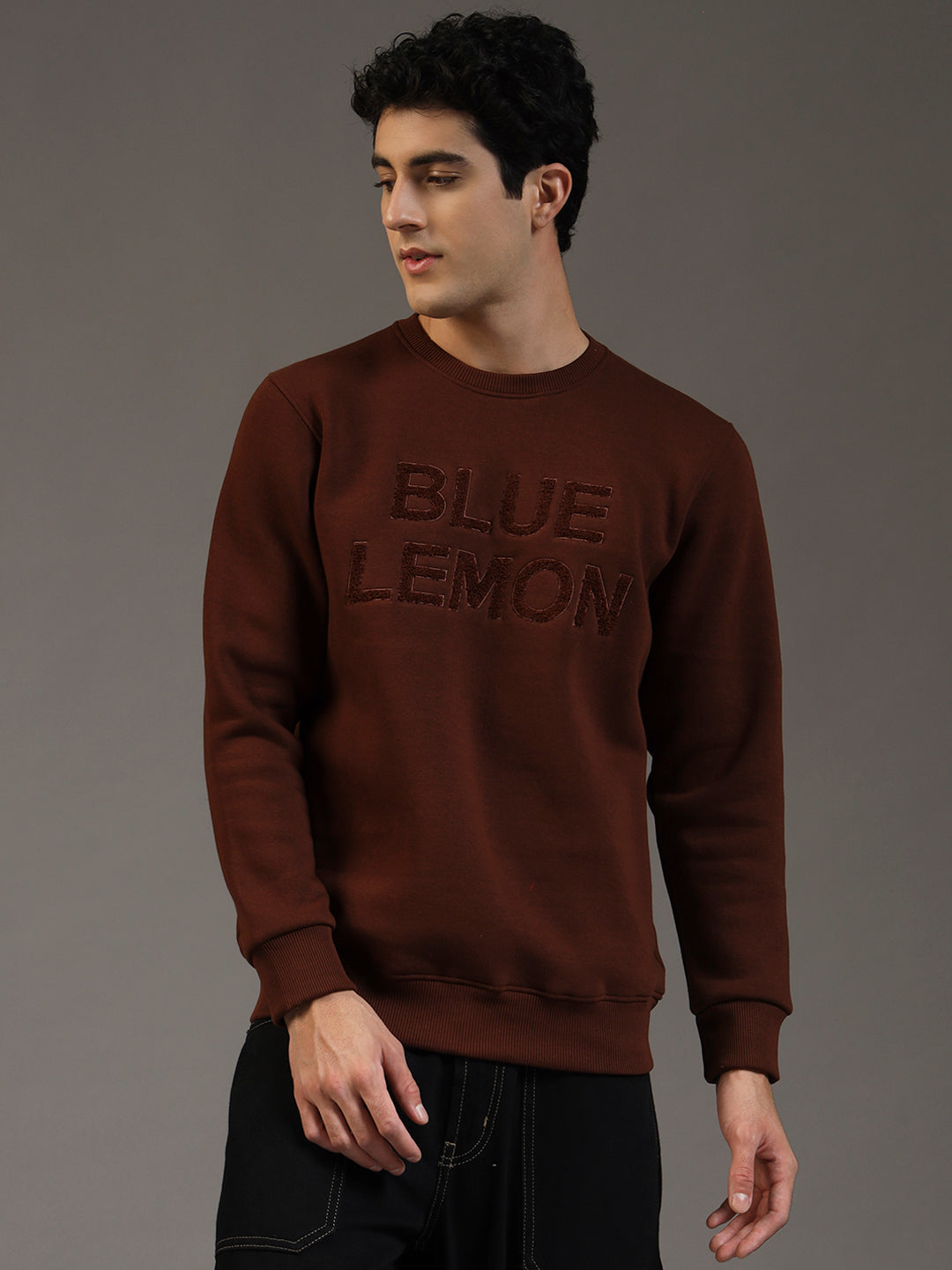 Blue Lemon Embroidered Sand Beige Sweatshirt