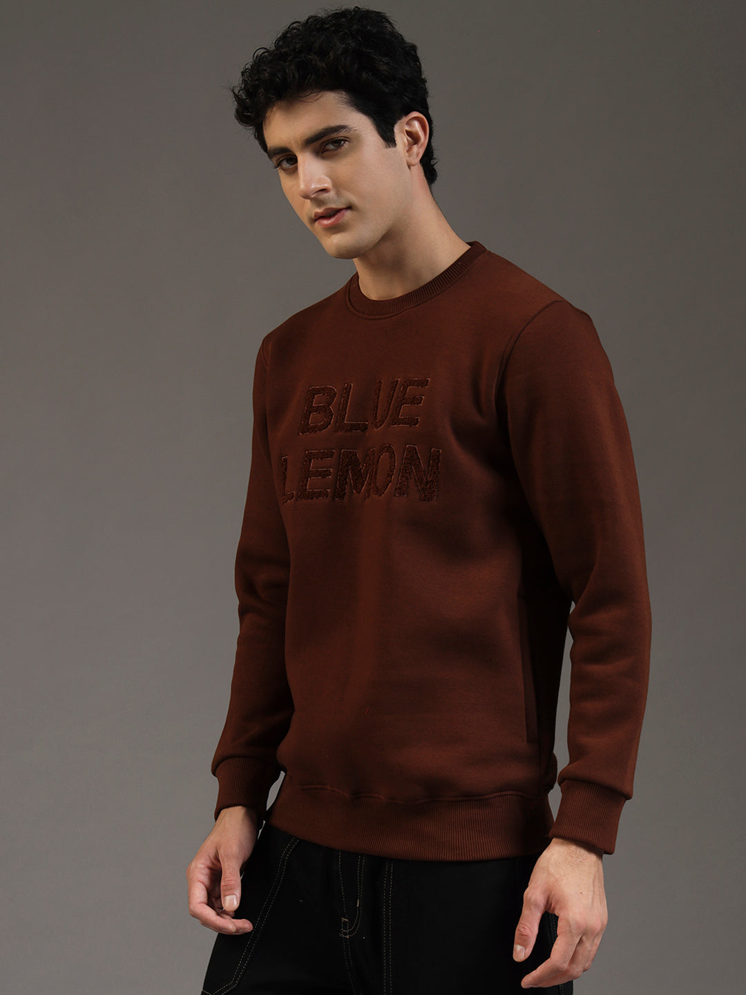 Blue Lemon Embroidered Sand Beige Sweatshirt