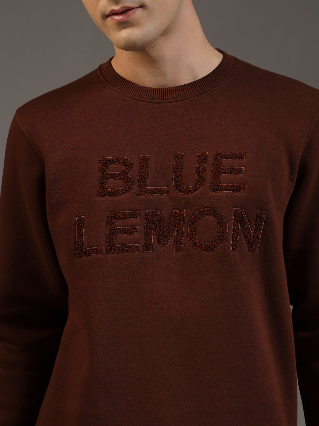 Blue Lemon Embroidered Sand Beige Sweatshirt
