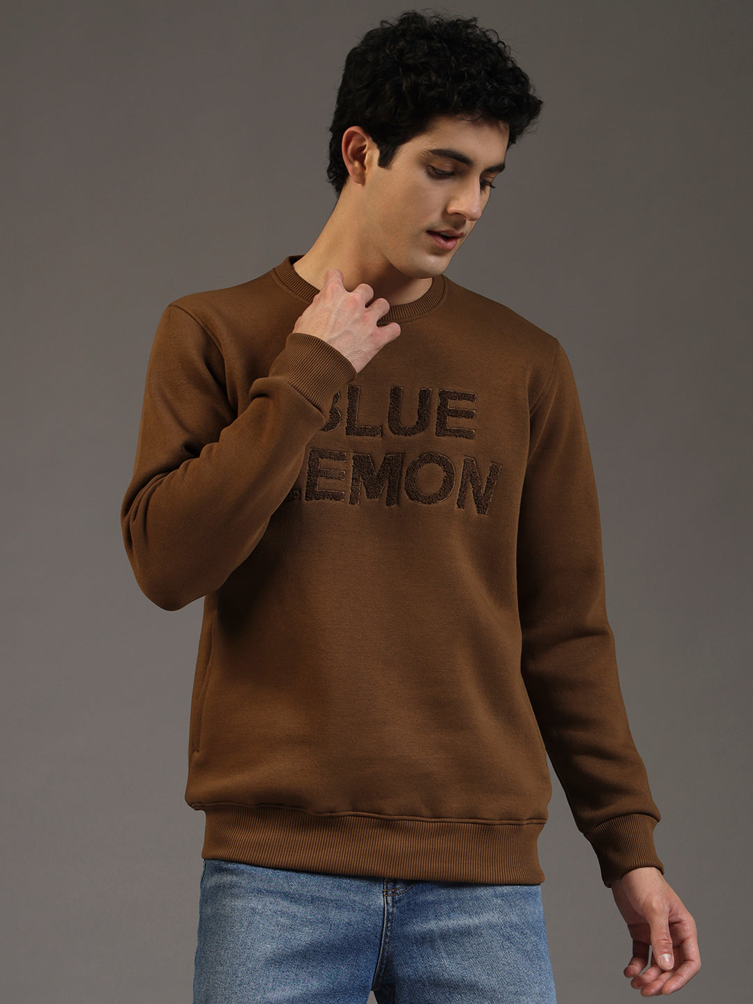 Blue Lemon Embroidered Sand Beige Sweatshirt