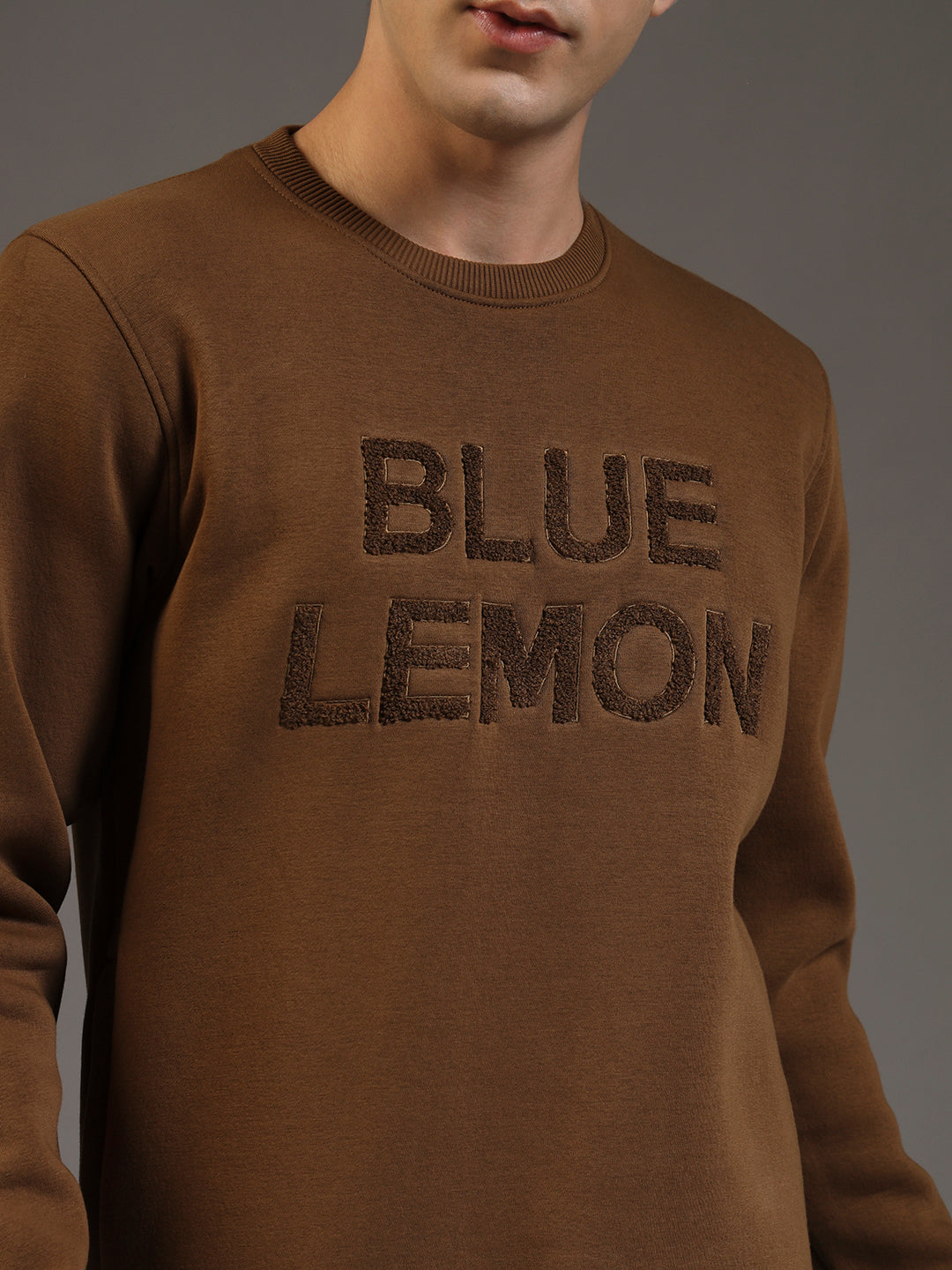 Blue Lemon Embroidered Sand Beige Sweatshirt