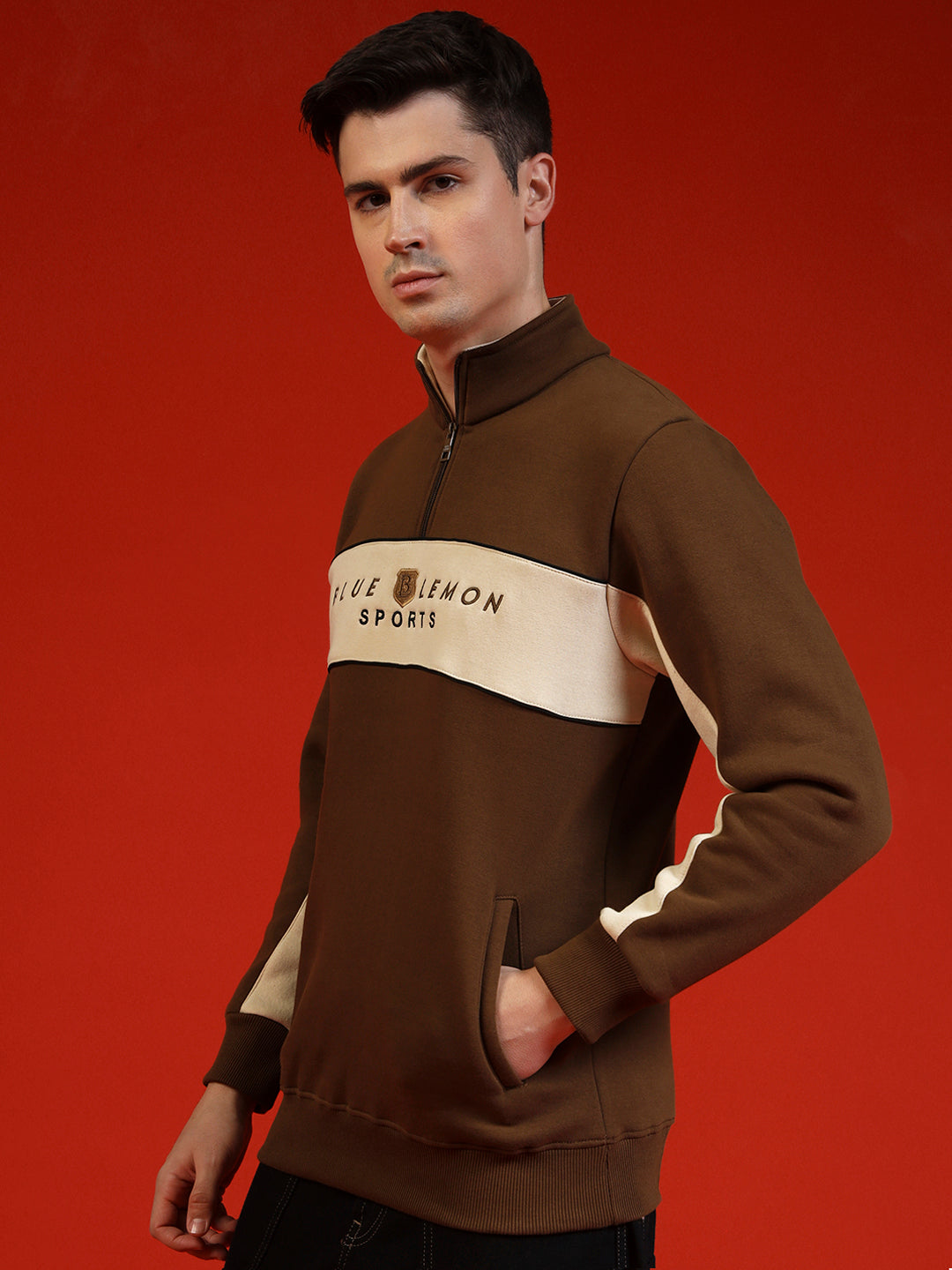 Blue Lemon Sandy Beige Stripe Quarter-Zip Sweatshirt